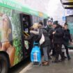 Beograđanin uhapšen zbog sumnje da je po autobusima krao novčanike 10