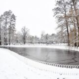 Novi Sad: Bez većih problema u saobraćaju zbog snega 1