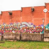 FDU pružio podršku Mileni Radulović 7