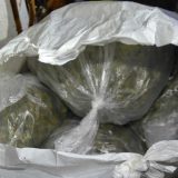 U Kaluđerici zaplenjeno oko kilogram marihuane, uhapšeno jedno lice 7