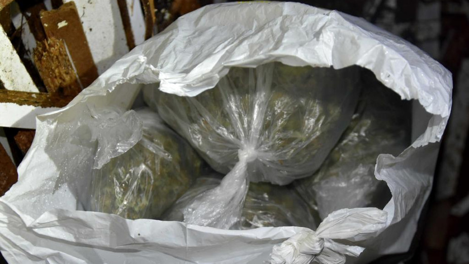 U Kaluđerici zaplenjeno oko kilogram marihuane, uhapšeno jedno lice 1