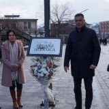 Sećanje na Srđana Aleksića 2