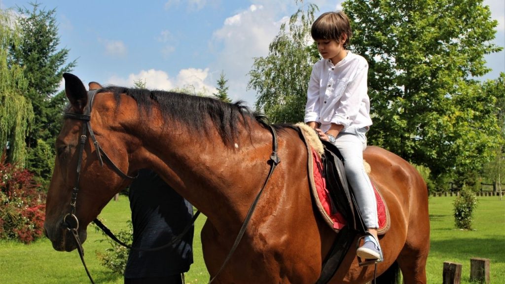 Film „Vikend sa ćaletom“ gledalo 65.000 ljudi 2 Film „Vikend sa ćaletom“ gledalo 65.000 ljudi 2