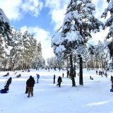 Na Zlatiboru i Kopaoniku oko 50.000 gostiju 11