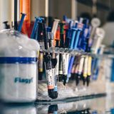 Drugi krug masovnog testiranja u Beču 7