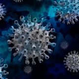 Prvi slučaj britanskog soja korona virusa prijavljen u Srbiji 3