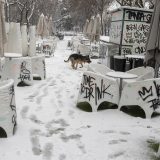 Mećava izazvala haos u Španiji, danas se očekuje još snega 8