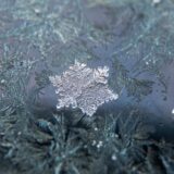 Gde je nestao zimski mraz?: Iza nas je najtoplija zima u istoriji merenja u Srbiji 4