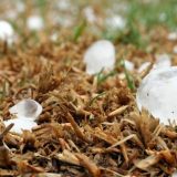 Najteže prirodne katastrofe u 2020. 7