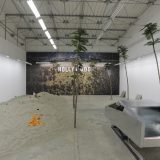 Imamo Los Anđeles kod kuće 1