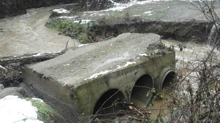 Vanredna situacija u više opština na jugu, evakuisane 34 osobe iz poplavljenih područja (FOTO) 3