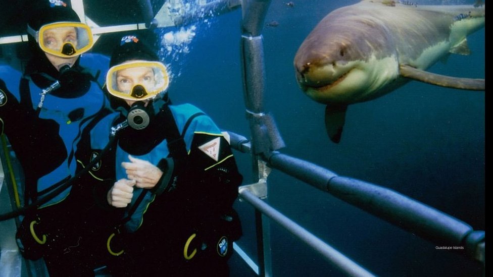 The Benchleys and a great white during a cave dive in 2005