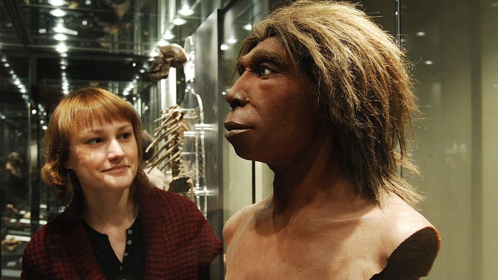A museum visitor is looking at the head of a Neanderthal man