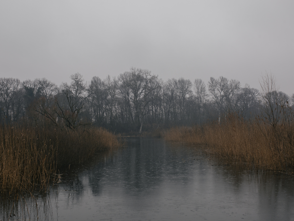 Životna sredina i Srbija: Šta su ramsarska područja i šta se krije u u nekim srpskim močvarama 2 Obedska bara