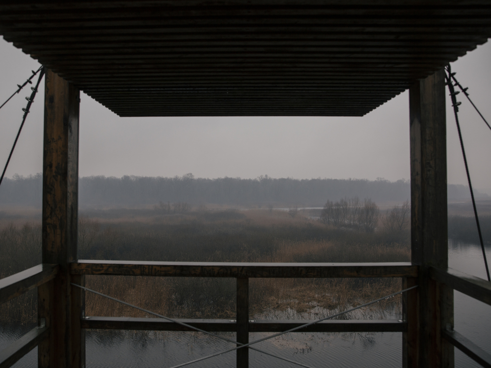 Životna sredina i Srbija: Šta su ramsarska područja i šta se krije u u nekim srpskim močvarama 3 Obedska bara