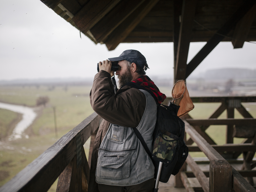 Životna sredina i Srbija: Šta su ramsarska područja i šta se krije u u nekim srpskim močvarama 6 Zasavica