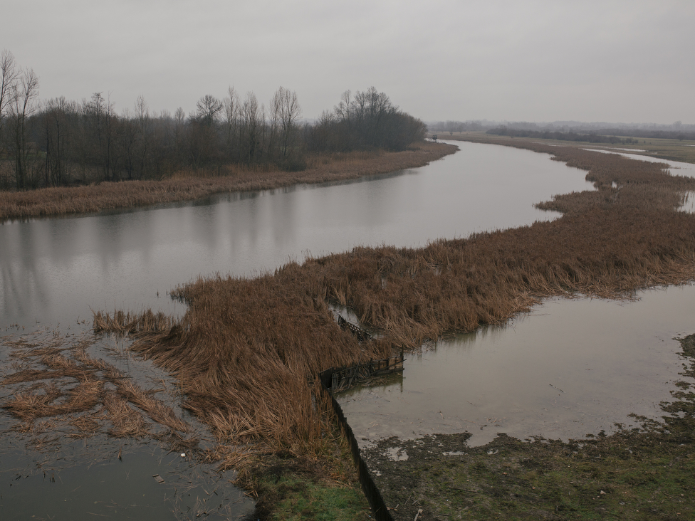 Životna sredina i Srbija: Šta su ramsarska područja i šta se krije u u nekim srpskim močvarama 7 Zasavica