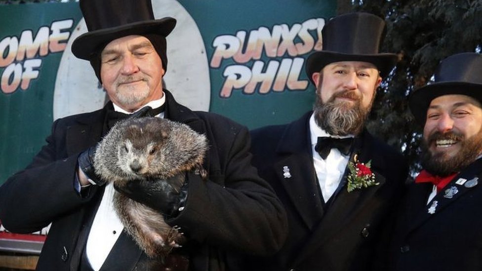 Vreme, prognoza i životinje: Medvedi, mrmoti, gliste i drugi detektori za vreme 2 mrmot