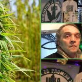 Lečenje kanabisom u Srbiji: Dok se čeka legalizacija u medicinske svrhe, zakon ne pravi razliku između dilera i pacijenata 5