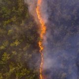 Priroda: Linija vatre - najbolja fotografija divljine 6