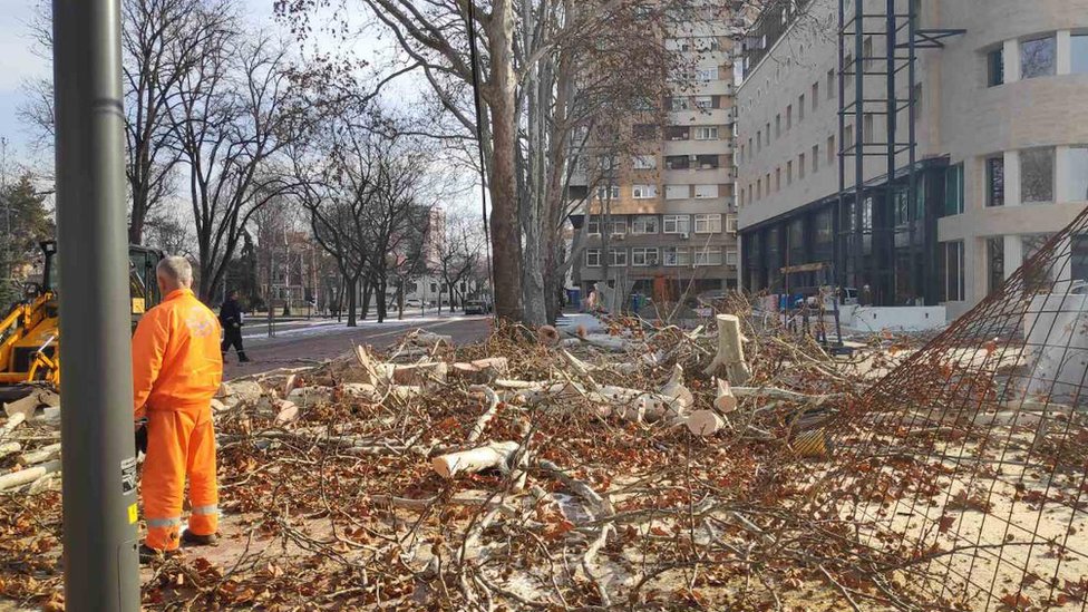 Radnici niškog Zelenila radili na neradni dan