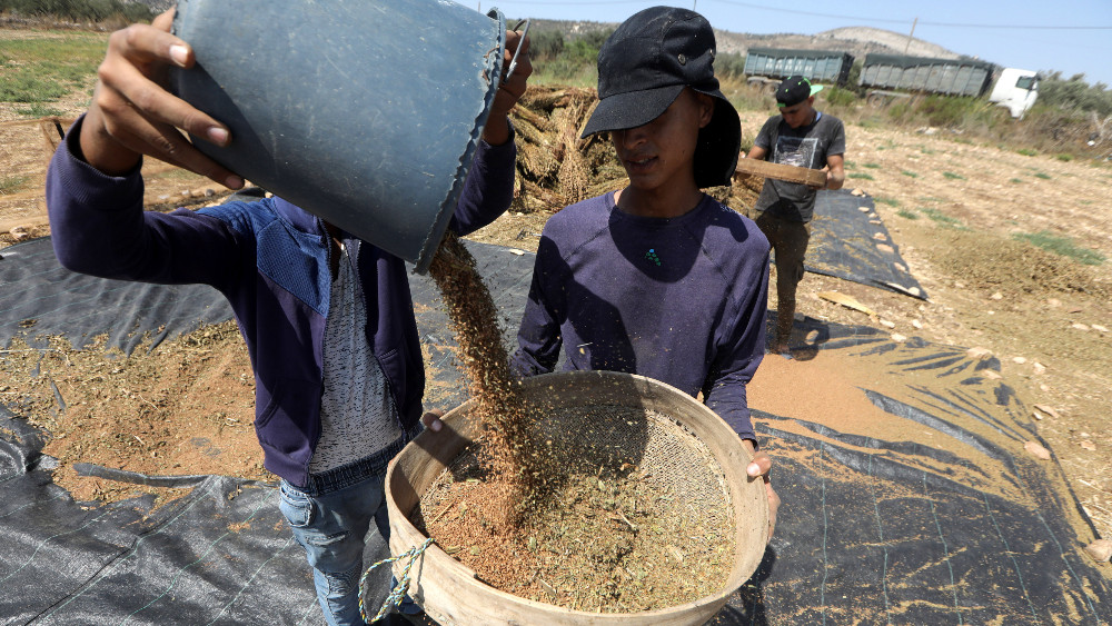 Država ćuti o kancerogenom susamu u prodavnicama 1