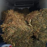 Država ne zna za koliko je smanjena siva ekonomija 2