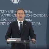 Selaković: Nemačka jedan od najvažnijih ekonomskih i političkih partnera Srbije 6