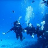 Egipat: Prvi put s decom na ronjenje 4