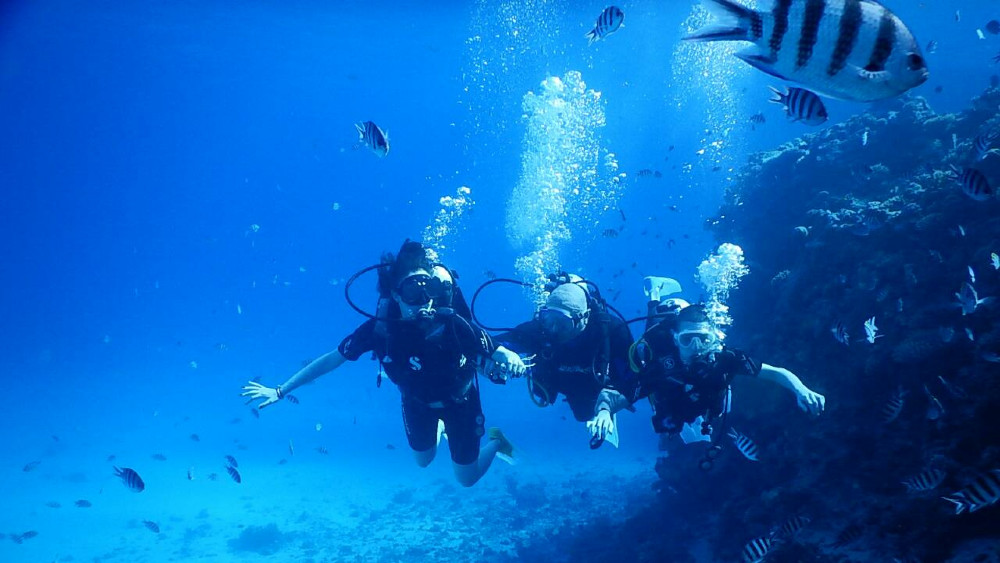 Egipat: Prvi put s decom na ronjenje 1