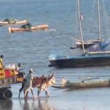 Madagaskar (2): Bekstvo od civilizacije u Toliari 9