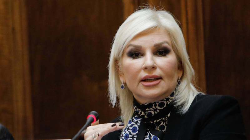 Mihajlović: Tender za izgradnju gasovoda Niš-Dimitrovgrad u narednih 10 dana 1