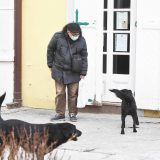 Zrenjaninci muku muče s psima lutalicama, zbog straha od njih moraju da hodaju kolovozom 5