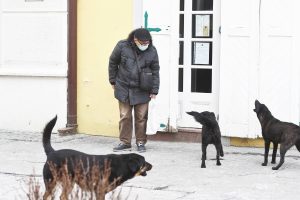 Prelom šake, jagodične kosti, nosa i povreda oka, epilog su napada pasa na Zaječarca: Lekari su morali i da ušiju rane 2