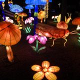 Produžen Кineski festival svetla u Beogradu i Novom Sadu do 28. februara 7