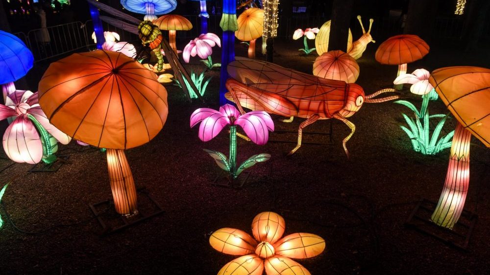 Počinje kineska Nova godina - godina bivola 5 Počinje kineska Nova godina - godina bivola 5