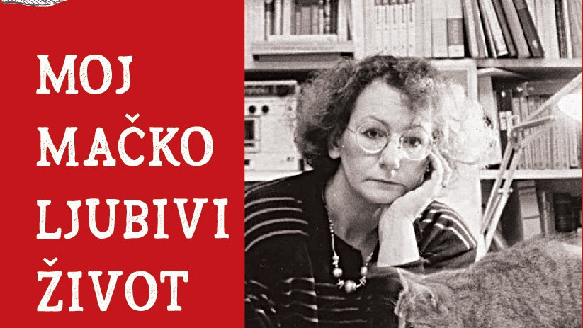 Reflektor za razbijanje tame 1