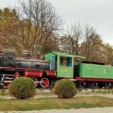 Kostolac: Nastavljena sadnja drvoreda četinara 9