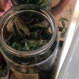 Kladovo: Policija pronašla ilegalnu laboratoriju za uzgoj marihuane 8