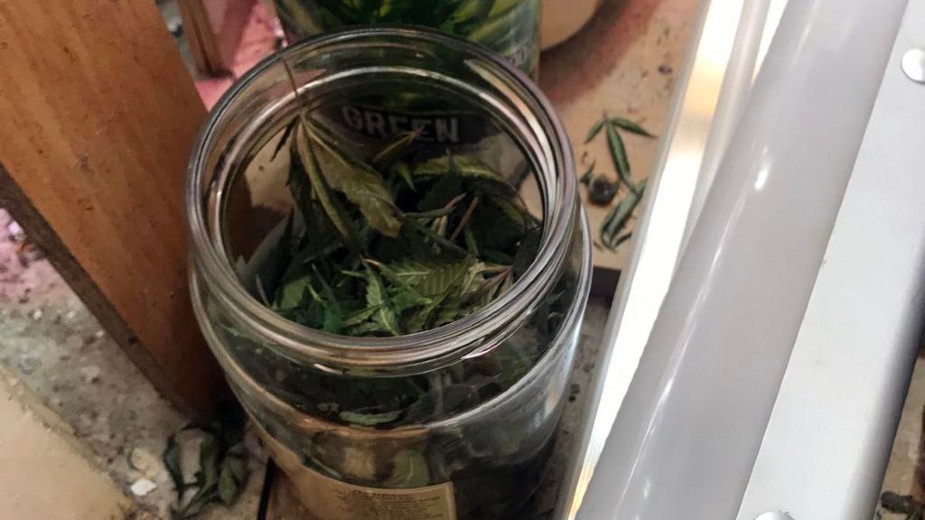 Kladovo: Policija pronašla ilegalnu laboratoriju za uzgoj marihuane 1