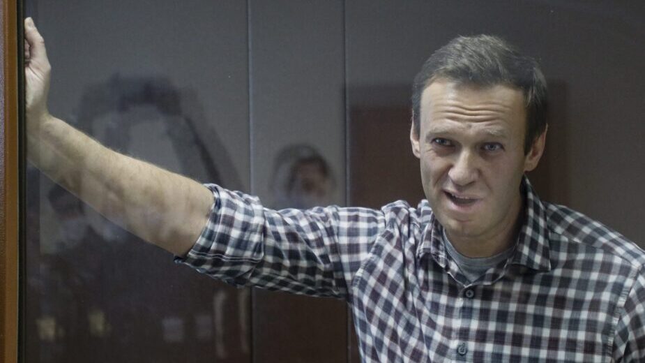 Navaljni: Zabrinuo sam se da će od mene tražiti da poljubim Putinovu sliku i napamet naučim citate Medvedeva 1