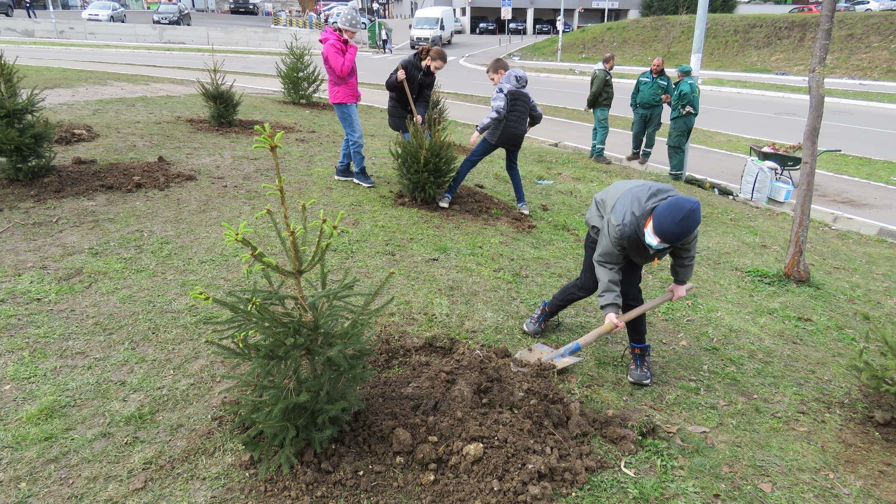 Novogodišnje jelke nastavljaju život u naselju Stepa Stepanović 1