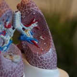 Srbin u Belgiji razvio softver koji otkriva plućne bolesti preciznije od lekara 5