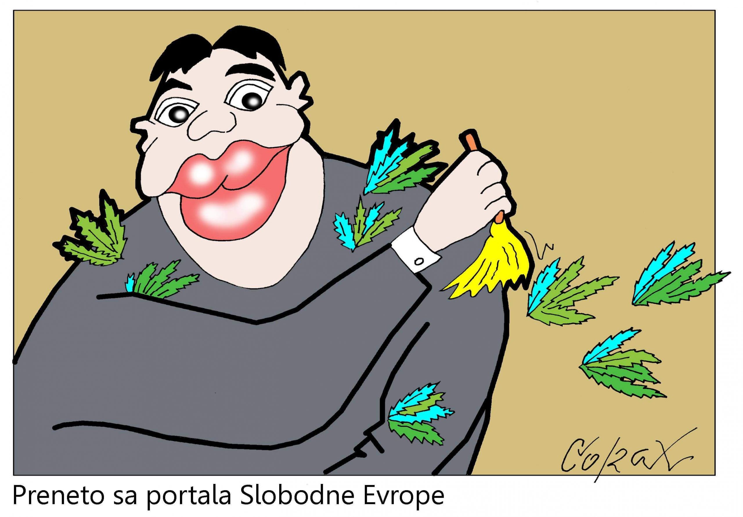 Corax 9