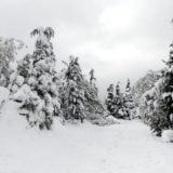 Sneg i jak vetar ponovo izazvali probleme kod Nove Varoši, meštani Bele Reke bez struje 8