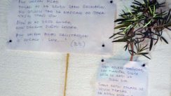 Građani Srbije i regiona i večeras pale sveće za Balaševića (FOTO, VIDEO) 8