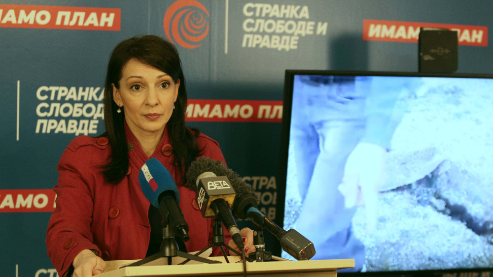 SSP: Pilja i Božić izrekle "besmislice" na račun Marinike Tepić 1