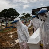 Epidemija u Brazilu postala globalna pretnja 12