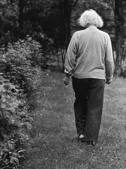 Einstein, walking on a garden.