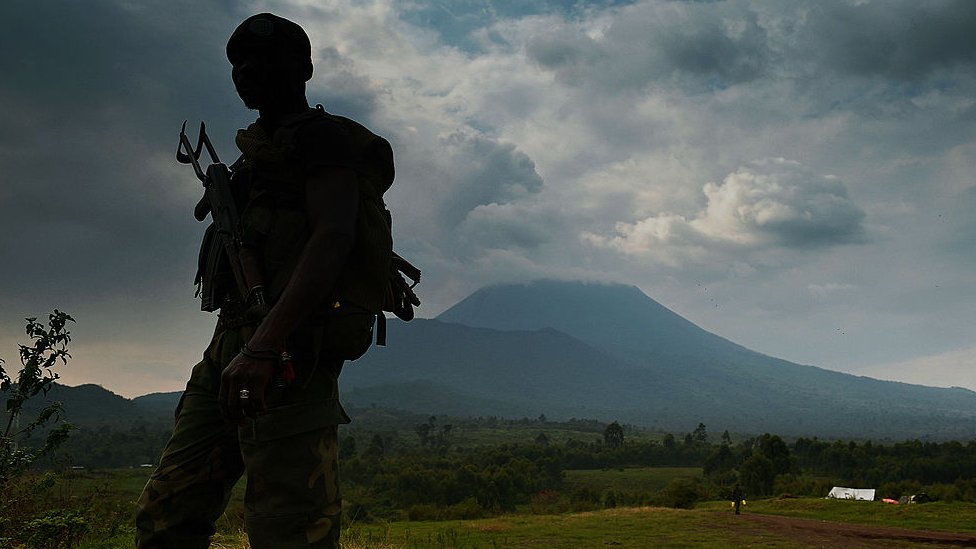 Životinje i Afrika: Spasavanje gorila u Kongu - jedan od najopasnijih poslova na planeti 5 A soldier in front of Mount Nyiragongo, DR Congo - archive
